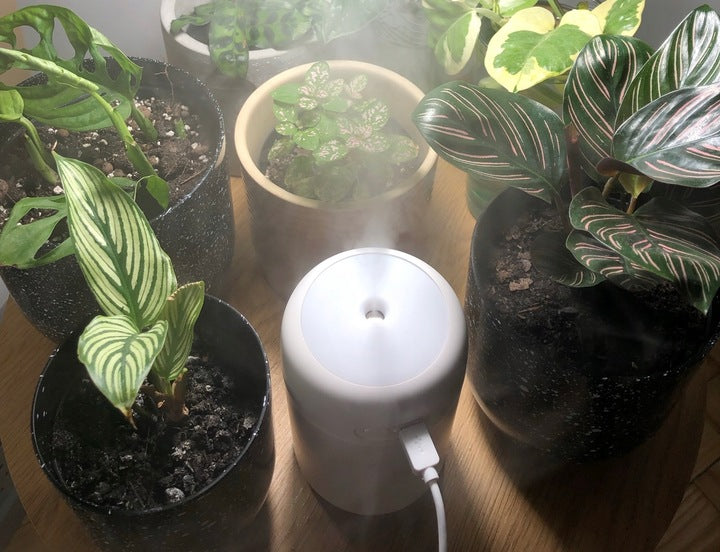 28b682349d93d9e86306fc500e7ba7d6