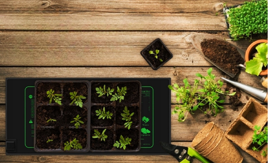 a9a9990bbd0101ece89d0131e112d660