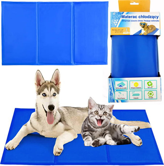 ccaa5507cfd03bf2982cd7d3bb136a48