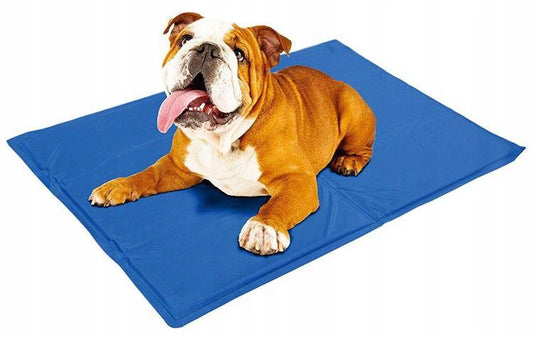 e460ac66c41308b866b65b92ddaffd81