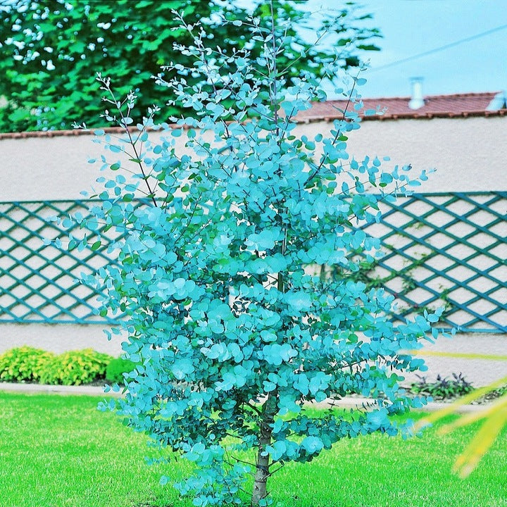 47a02ae75a868d5403355cd185c306d4