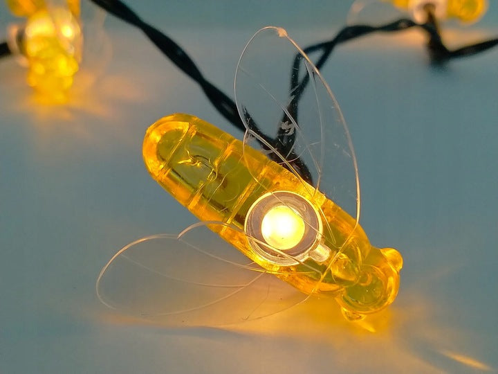 5f01b9bffb887269ad7d6fc745228956