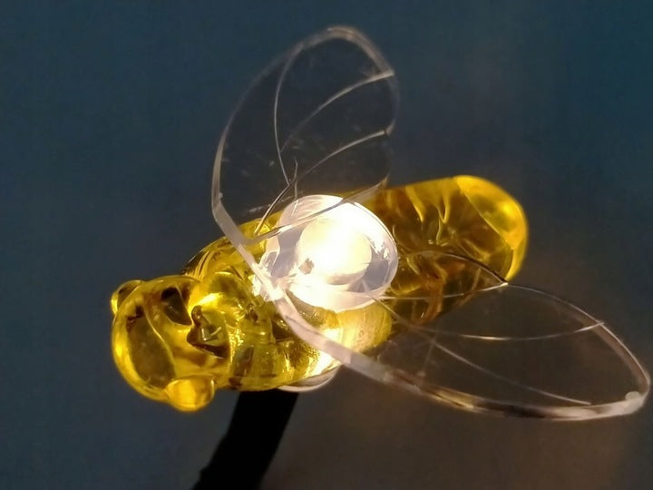 13c27fe28abb9810e594b707967a7e66