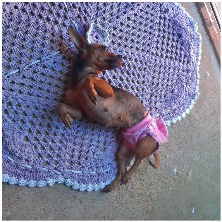 109a650ed9258091c8d29b9002d4b201