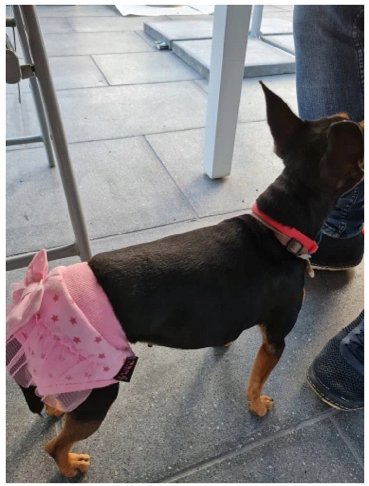 733a049621d35480533bb2fe7de4586f