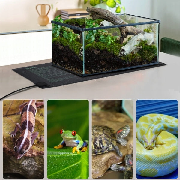 1955cafbf3f4598ad5b90b151c42cf96