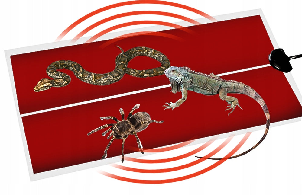 8c6f4ce0c14e9bbeae7c36bdc3da1bd6