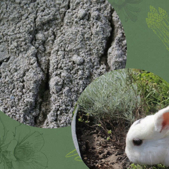 c8c9e1dc5772283b1e4bd2e37f82f494