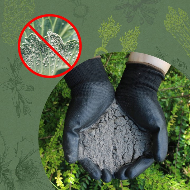 5bd6d3e64cc979a9034e6ccabd113ee5