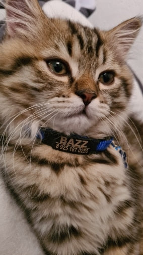 398c6f9b8983c9c03fe28924b5f0867c