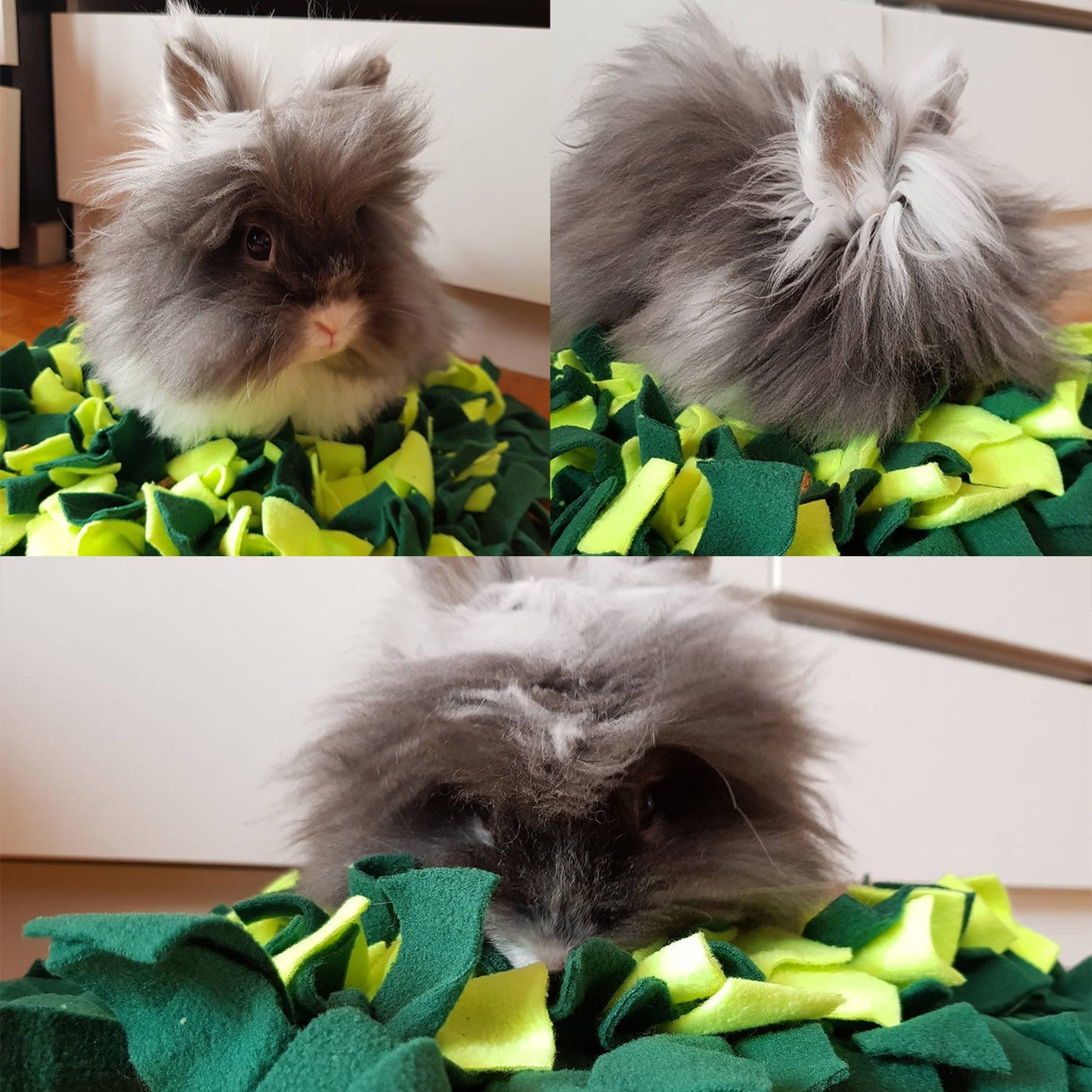 45a1bd6c8bfb516ff3787d3891d243d5