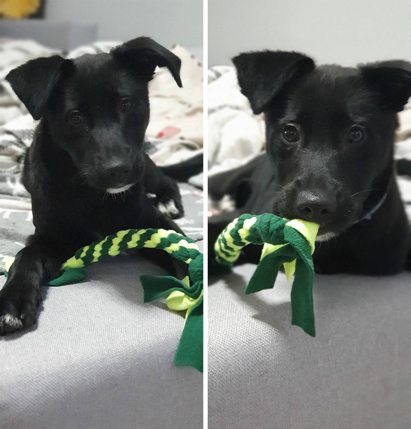 1d57df2fecc54effeb6bcb013784a131