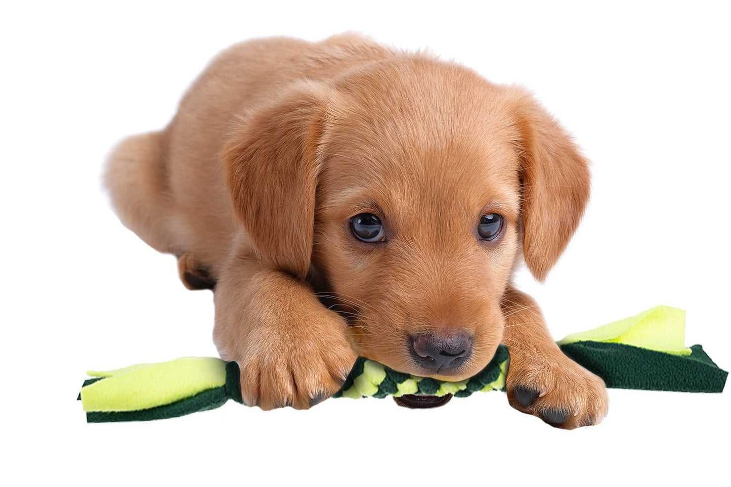 1b2e72f75f5e91956c3648bc1a3c8742