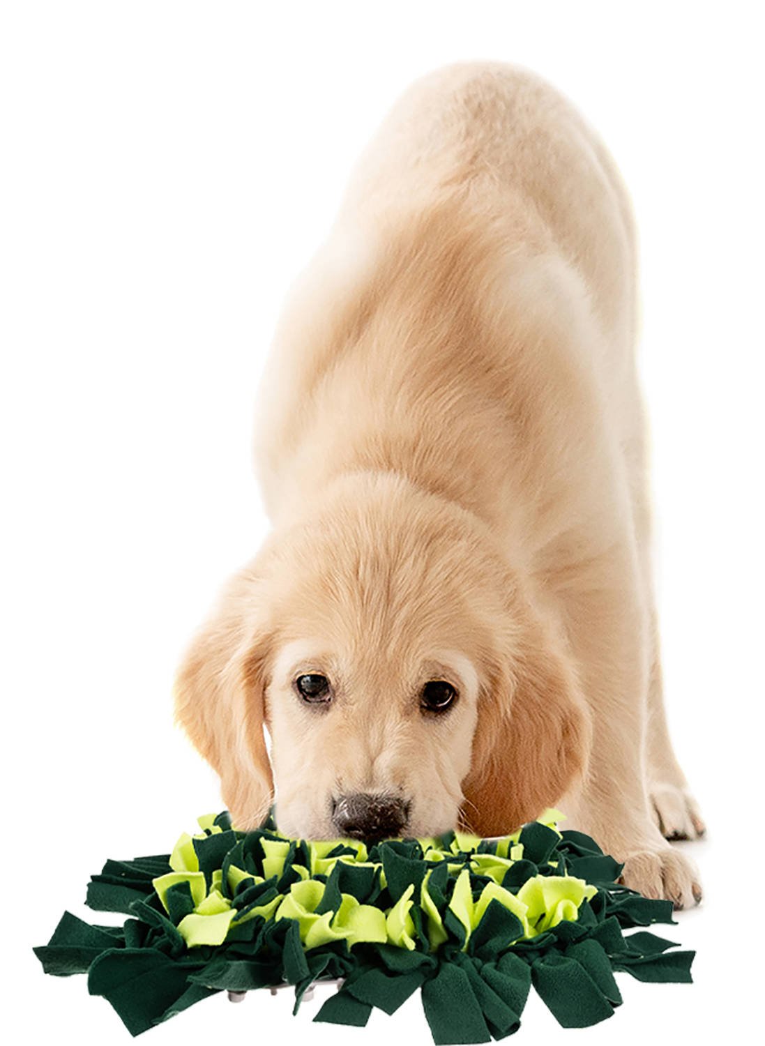 0ab9e7ec1f9fa1b5f6328c4e0dd14606