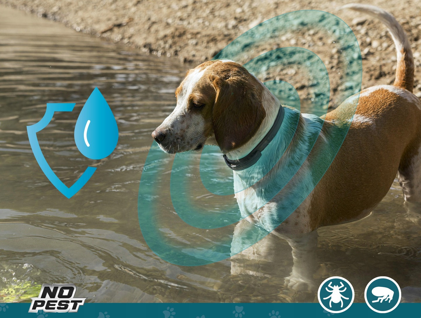 8acf42119e83fec2a7e8d2030b8bbc5c