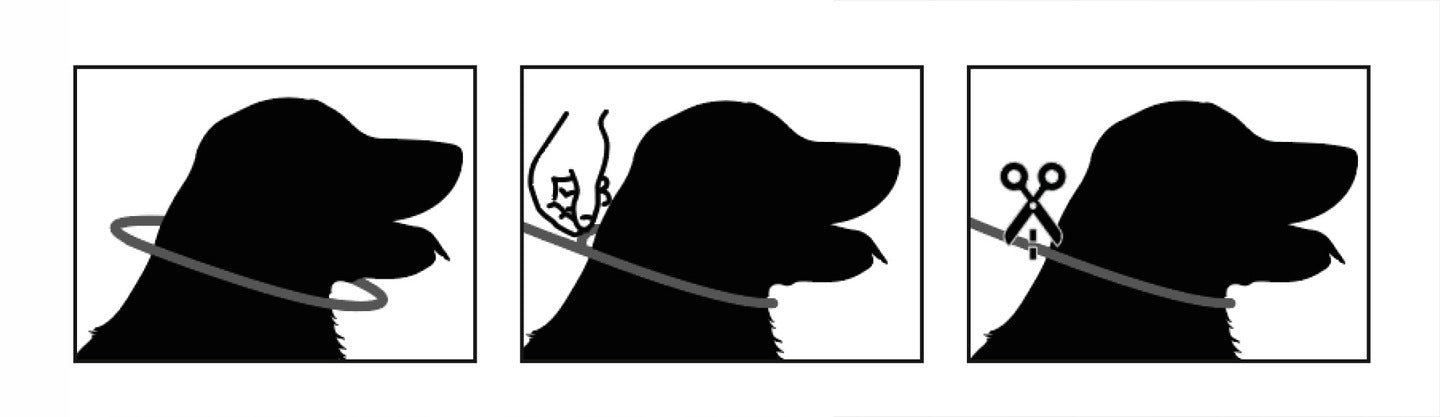 2136ce2eef110d784260dc303f8e0c01