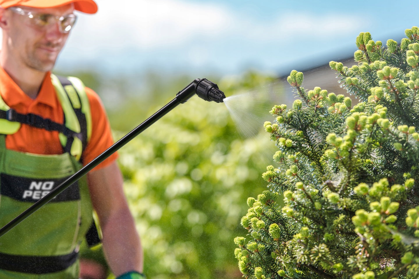 03b7200ba7c5de8faf51fee1fbb86d27