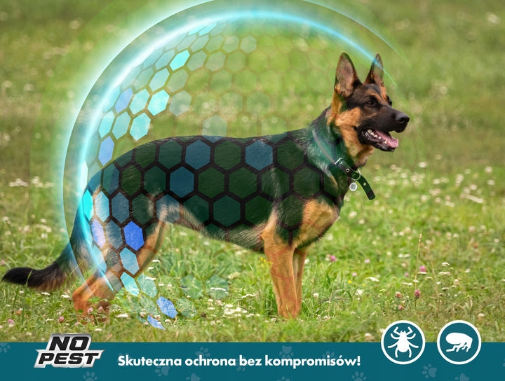 6896fa32108ee103dff545a06572f662