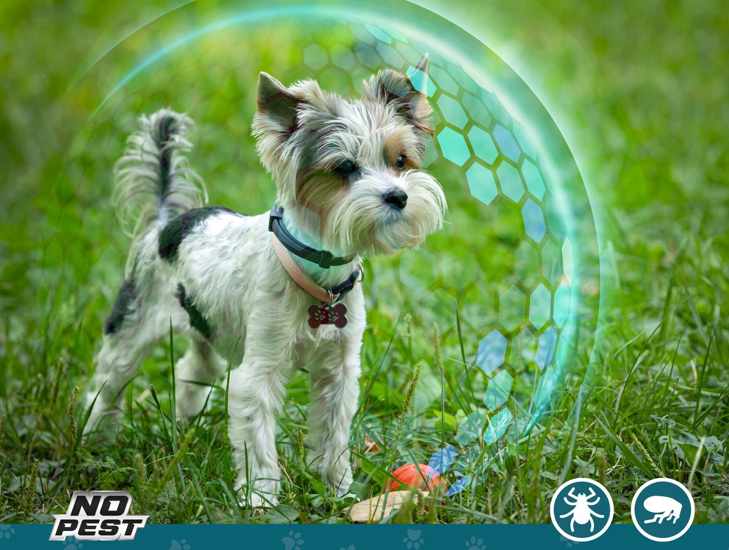 b5685c2a1e395732d3f5cf5992ee9256