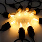 d560ab425d4df92811bd70a76cad2d24