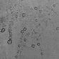 d6a2d5c18469577acf8e9e23f9111336