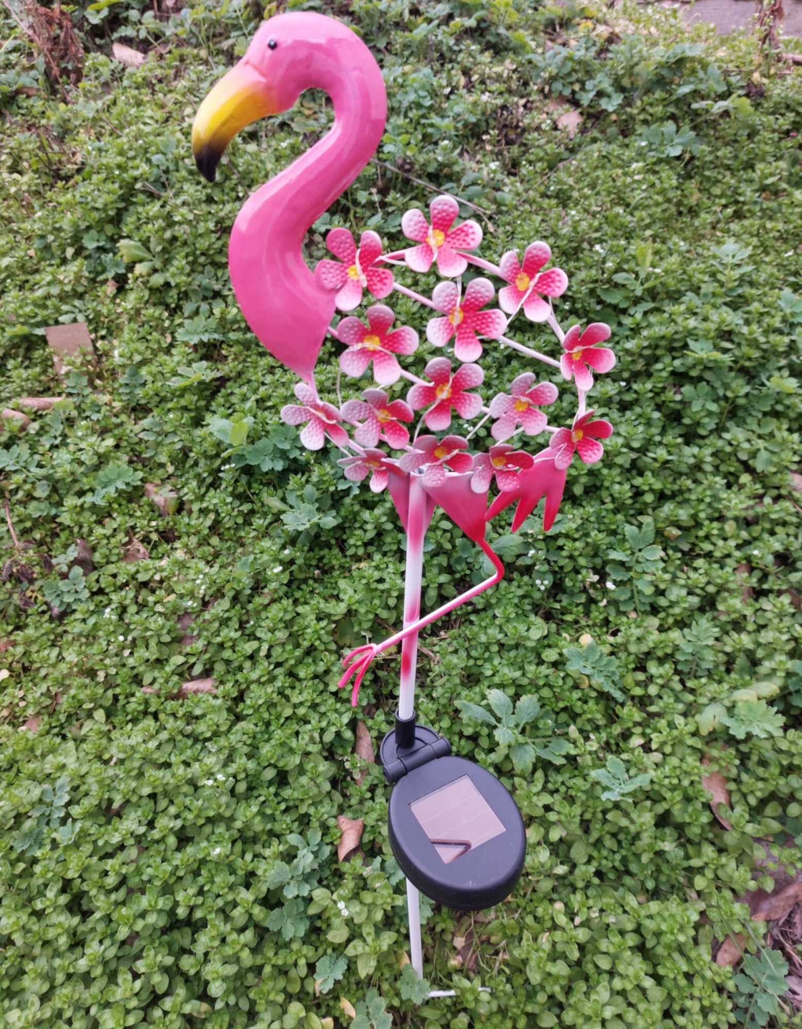 5084dd5df3683733d25a45ea099ac7ce