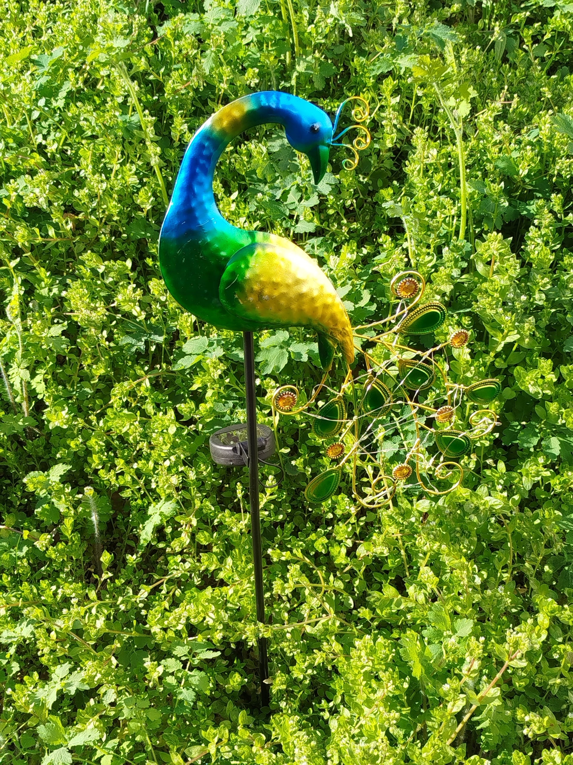 7790b02e03e9358399ca33b1bbf6cc5b