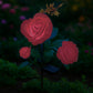 76763b089aab2a31dc086c8992df9e89