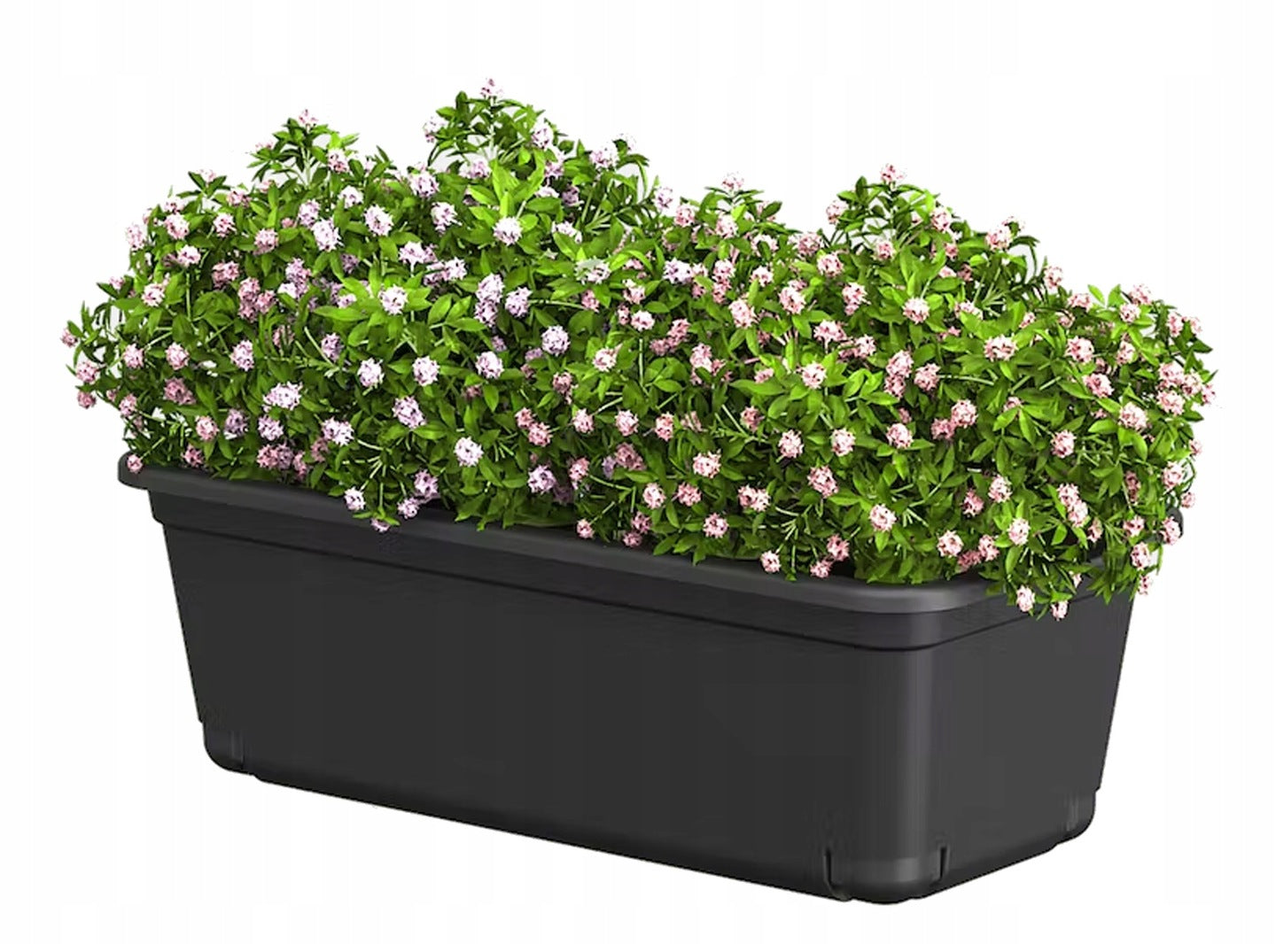 78f58581241434b3d4bc8f4adff96645