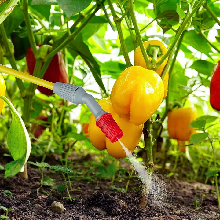 f73a55b16d6cb8f367d03152618f14be