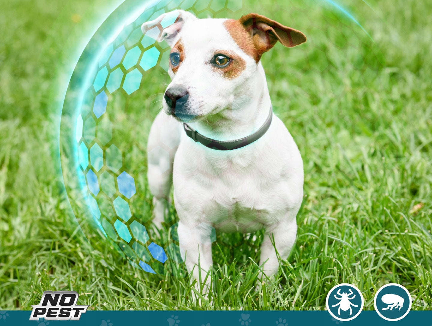 5a42c08572b25bcb28245254f11d65f4